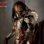 Classic Predator (Sideshow) (studio)