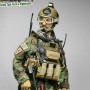 U.S. Army Special Forces (CJSOTF-A)