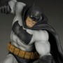 Dark Knight Returns - Hunt Dark Knight