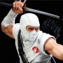 Storm Shadow (studio)
