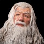 Gandalf The Grey