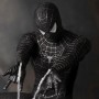 Spider-Man Black Suit Version (Sideshow) (studio)