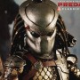 Classic Predator (studio)