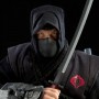 Black Dragon Ninja (studio)