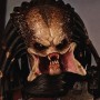 Classic Predator (studio)