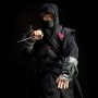 Black Dragon Ninja (Sideshow) (studio)