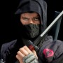 Black Dragon Ninja (Sideshow) (studio)