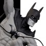 Batman (Tony Daniel) (studio)