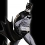 Batman Black-White: Batman (Dustin Nguyen)