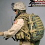 USMC Regimental Combat Team (RCT) (studio)