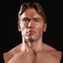 1984 Terminator