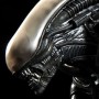 Alien Big Chap - crouching (Sideshow) (studio)