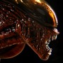 Dog Alien (Sideshow) (studio)