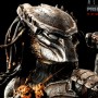 Wolf Predator (Sideshow) (studio)