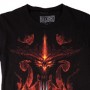 Diablo 3: Burning (studio)