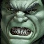 Skaar, Son Of Hulk