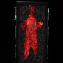 Han Solo In Carbonite