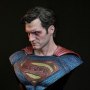 Superman Black Hyperreal & Bust Blue