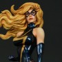 Marvel: Ms. Marvel Modern