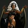 Storm (studio)