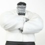 Mr. Fixit Hulk (studio)