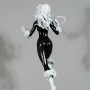 Black Cat Retro (studio)