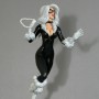 Black Cat Retro (studio)