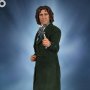 8th Doctor (Paul McGann)