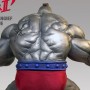 Zangief Mecha (Sideshow) (studio)