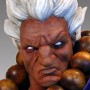 Shin Akuma (Sideshow) (studio)