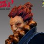 Street Fighter 2: Akuma