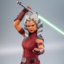 Ahsoka Tano Padawan