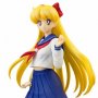 Sailor Moon: Aino Minako