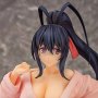 Akeno Himejima Bathrobe