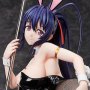 Akeno Himejima Bunny 2nd