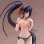 Akeno Himejima Swimsuit