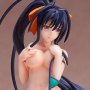 Akeno Himejima Swimsuit