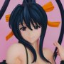 Akeno Himejima Temptation Of Miko