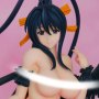 Akeno Himejima Temptation Of Miko