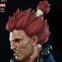 Street Fighter 4: Akuma