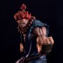 Street Fighter: Battle Of Brothers Akuma Raging Demon
