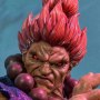 Akuma Ultimate