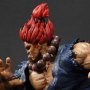 Akuma Ultimate