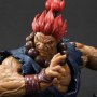 Akuma Ultimate