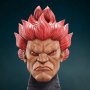Akuma Ultimate (Pop Culture Shock)
