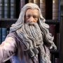 Albus Dumbledore Deluxe