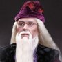 Albus Dumbledore