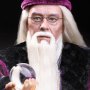 Albus Dumbledore