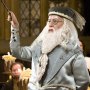 Albus Dumbledore (Order Of Phoenix)