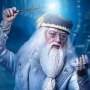 Albus Dumbledore (Order Of Phoenix)